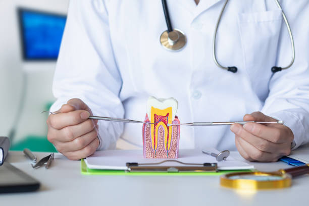 Best Holiday Emergency Dentist in Orwell, OH